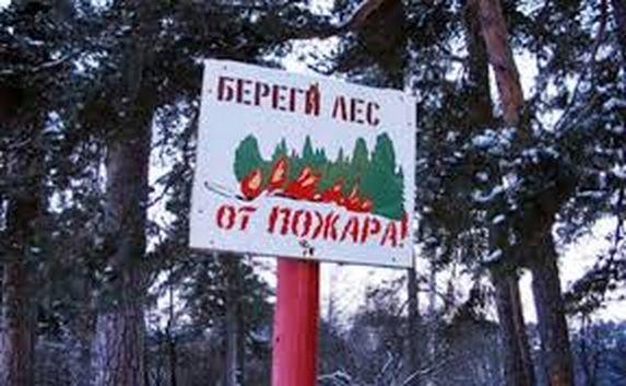 Леса в Севастополе открыли для посещения